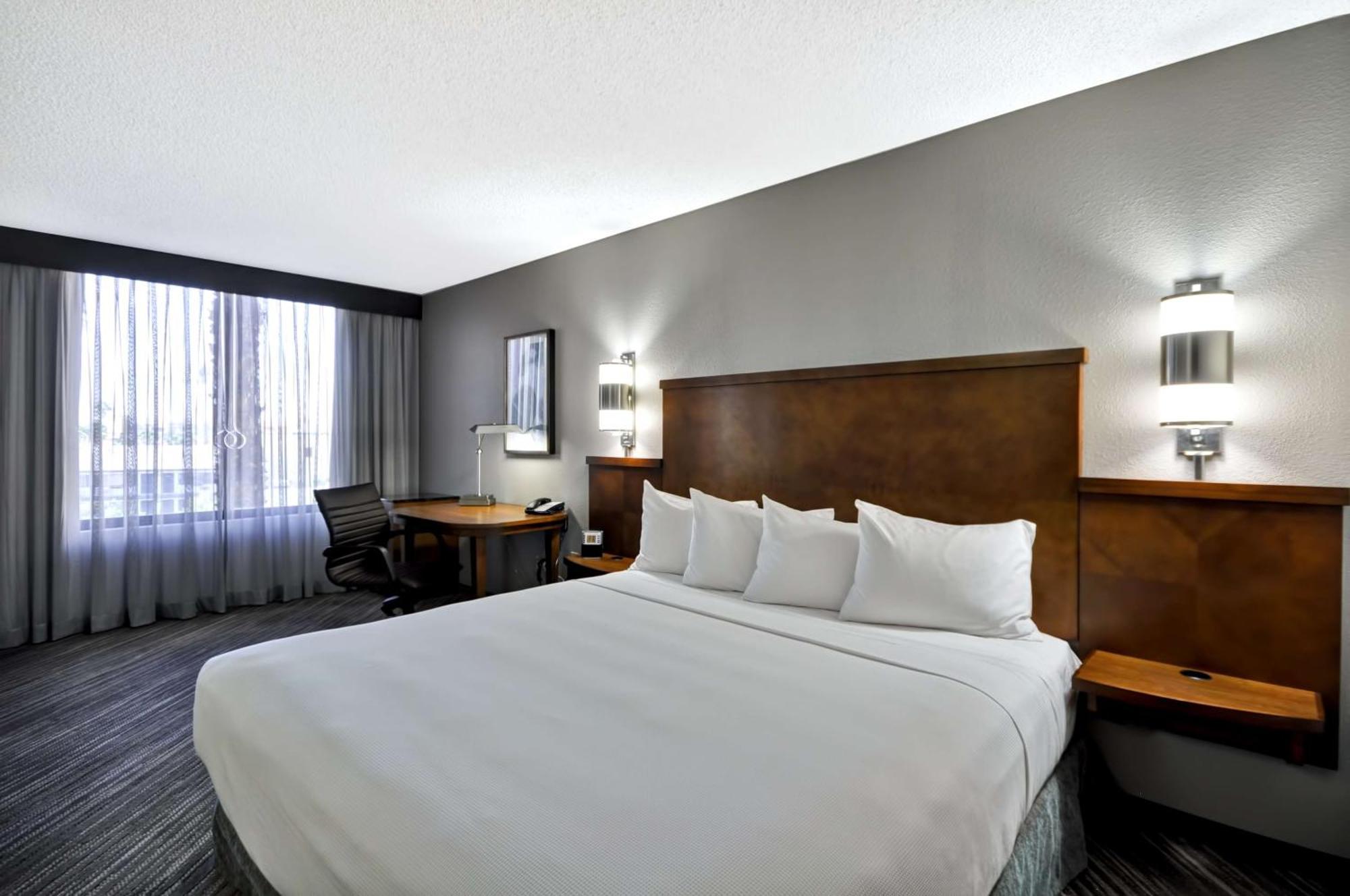 King Room with Roll-In Shower - Disability Access,1275522079:JPEG